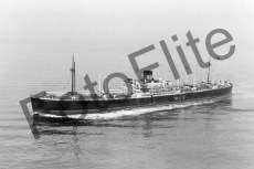 BWX9425.jpg