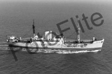 BWX9483.jpg