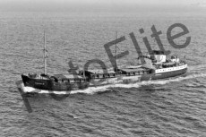 BWX9487.jpg