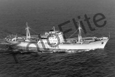 BWX9493.jpg