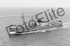 BWX94.jpg