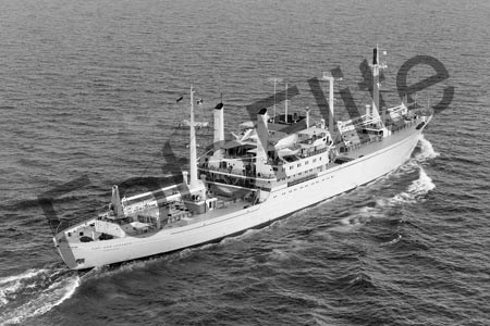 BWX9504.jpg
