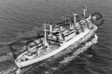 BWX9506.jpg