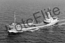 BWX9509.jpg