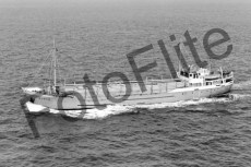 BWX9515.jpg