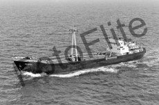 BWX9525.jpg