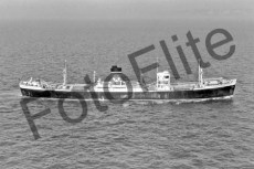 BWX9529.jpg