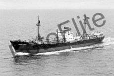 BWX9533.jpg