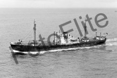 BWX9534.jpg