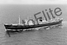 BWX9536.jpg