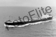 BWX9538.jpg