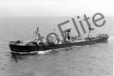 BWX9576.jpg