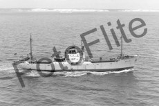 BWX9590.jpg
