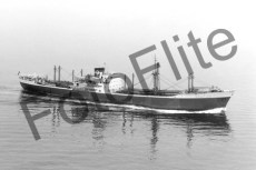 BWX959.jpg