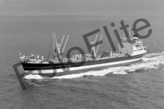BWX9611.jpg