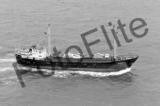 BWX9622.jpg
