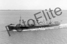 BWX9652.jpg