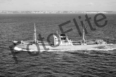 BWX9663.jpg