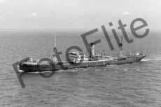 BWX9686.jpg