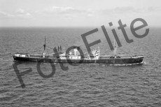 BWX9687.jpg