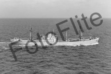BWX9694.jpg