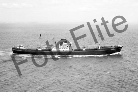 BWX9695.jpg