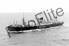 BWX9724.jpg