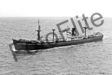 BWX9725.jpg