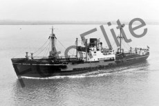 BWX9733.jpg