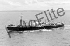 BWX9744.jpg