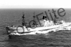 BWX9808.jpg