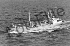BWX9816.jpg