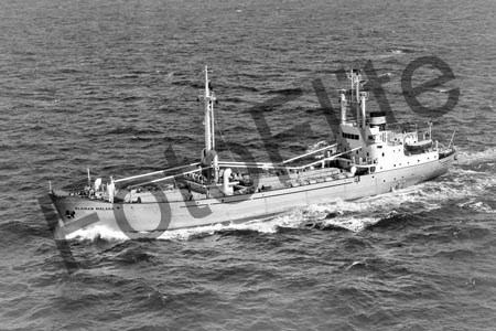 BWX9816.jpg