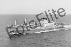 BWX9937.jpg