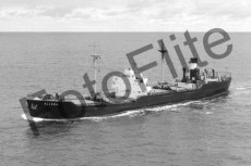 BWX9953.jpg