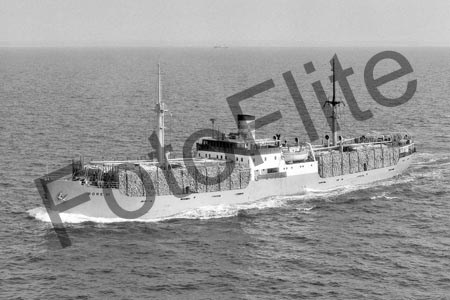 BWX9985.jpg